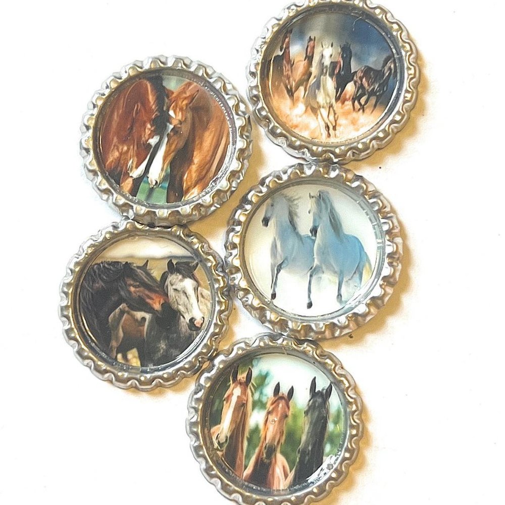 Horses Magnet Set